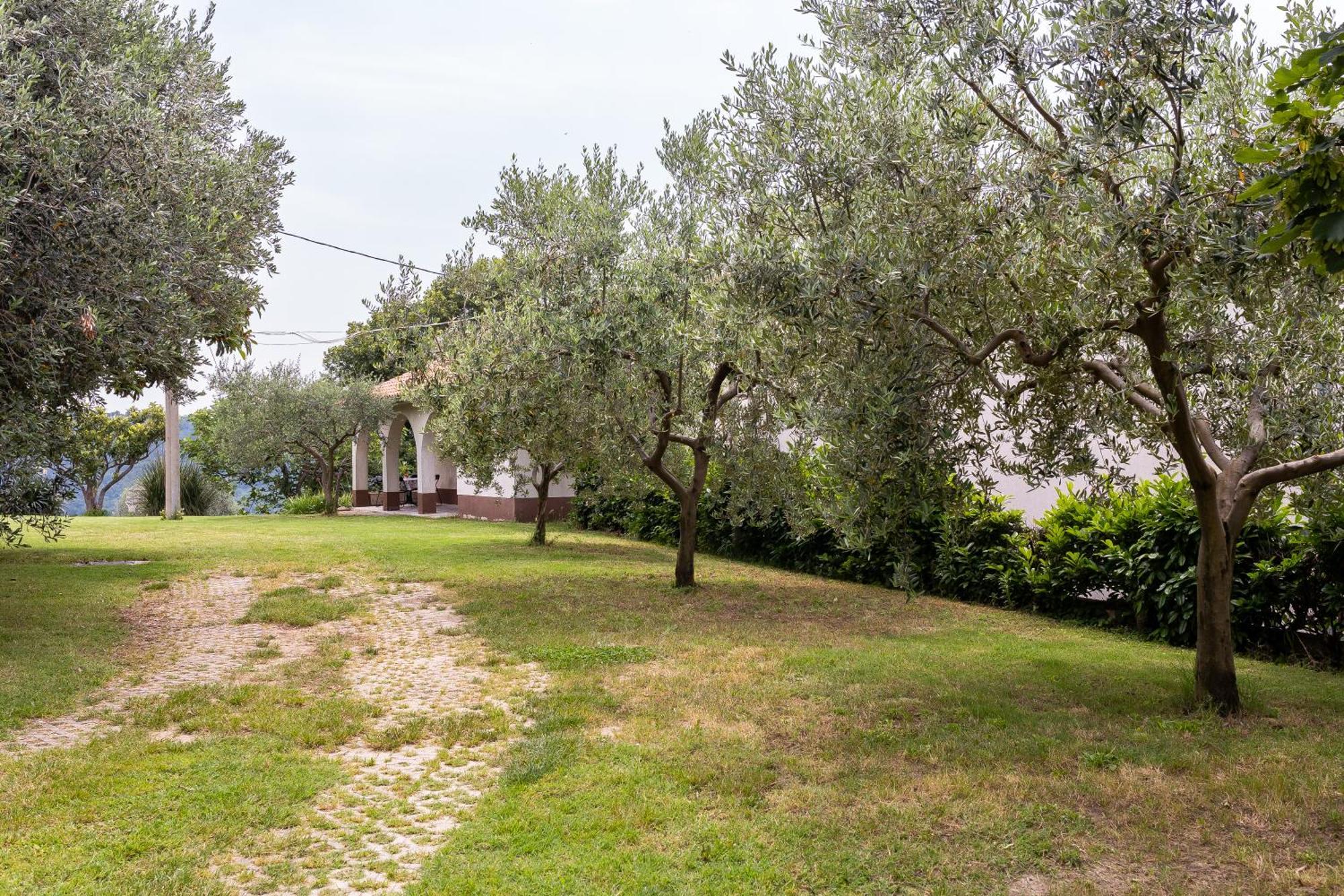 Apartments Cipresa Portorož Eksteriør billede